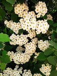 IMG_20210511_175651.jpg