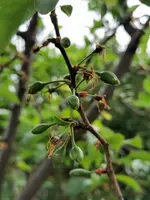 IMG_20210512_144605.webp