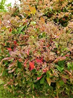 IMG_20210512_123005.webp