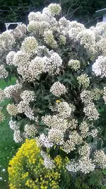 20210512_201654.webp