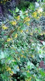20210512_201613.webp