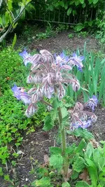 20210512_201739.webp