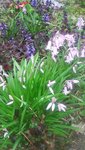 20210512_201039.jpg