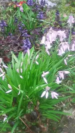 20210512_201039.webp