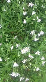 20210512_201228.webp