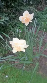 20210512_201302.webp