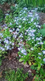 20210512_201432.webp