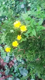 20210512_201521.webp