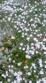 20210512_201722.webp