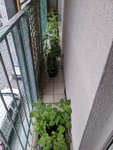 PXL_20210512_181451437.jpg
