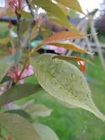20210511_194545.webp
