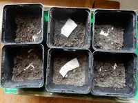 DSCN2941.webp