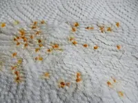 DSCN2940.webp
