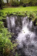 IMG_20210513_0918351-01.webp