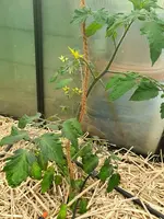 20210513_180149.webp