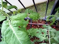 IMG_20210513_190108.webp
