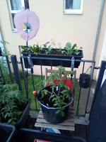 IMG_20210513_190049.webp
