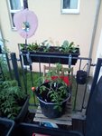 IMG_20210513_190049.jpg