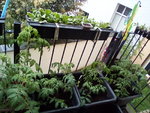 IMG_20210513_190046.jpg