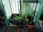 IMG_20210513_190024.jpg