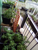 IMG_20210513_190033.webp