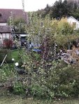 IMG_1869.JPG