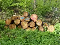 5557654D-AD0E-4E1F-A660-7D078F5CEB33.jpeg