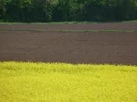 F49D4550-171E-4F04-A563-B8D687381FF8.jpeg