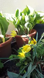 20210510_172332.webp