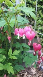 20210514_185738.webp