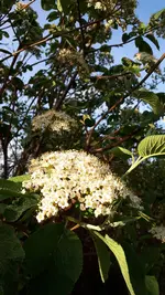 20210514_185907.webp