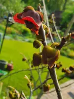 20210515_092429.webp