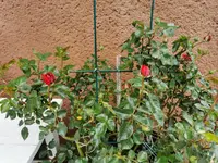 IMG_20210515_092207.webp