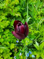20210513_170903.webp