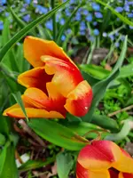 20210513_170746.webp