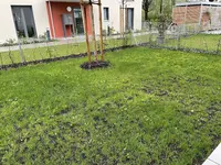 Foto 12.05.21, 20 01 51.webp