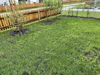 Foto 12.05.21, 20 01 55.webp