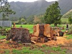 IMG_1511 - Kia ora.JPG