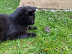 18f6e9fa-09ef-4121-8dda-3d7c8ecbed6f (2).jpeg