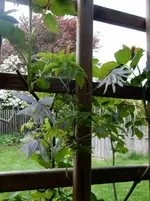 DSCN2970.JPG