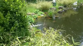 20210516_134432.webp