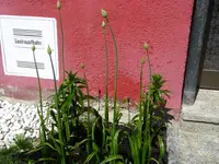 11_05_2021 (92).webp