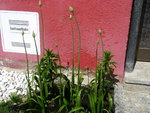 11_05_2021 (92).JPG
