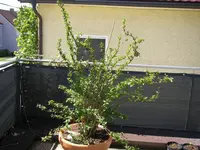 11_05_2021 (9).webp