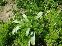 11_05_2021 (52).webp