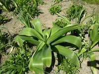 11_05_2021 (59).webp