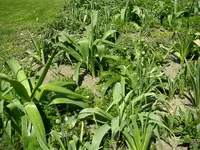 11_05_2021 (60).webp