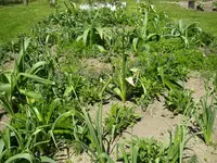 11_05_2021 (61).webp