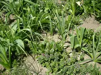 11_05_2021 (62).webp