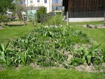 11_05_2021 (63).JPG